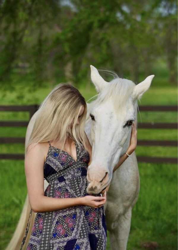 Horse Rides